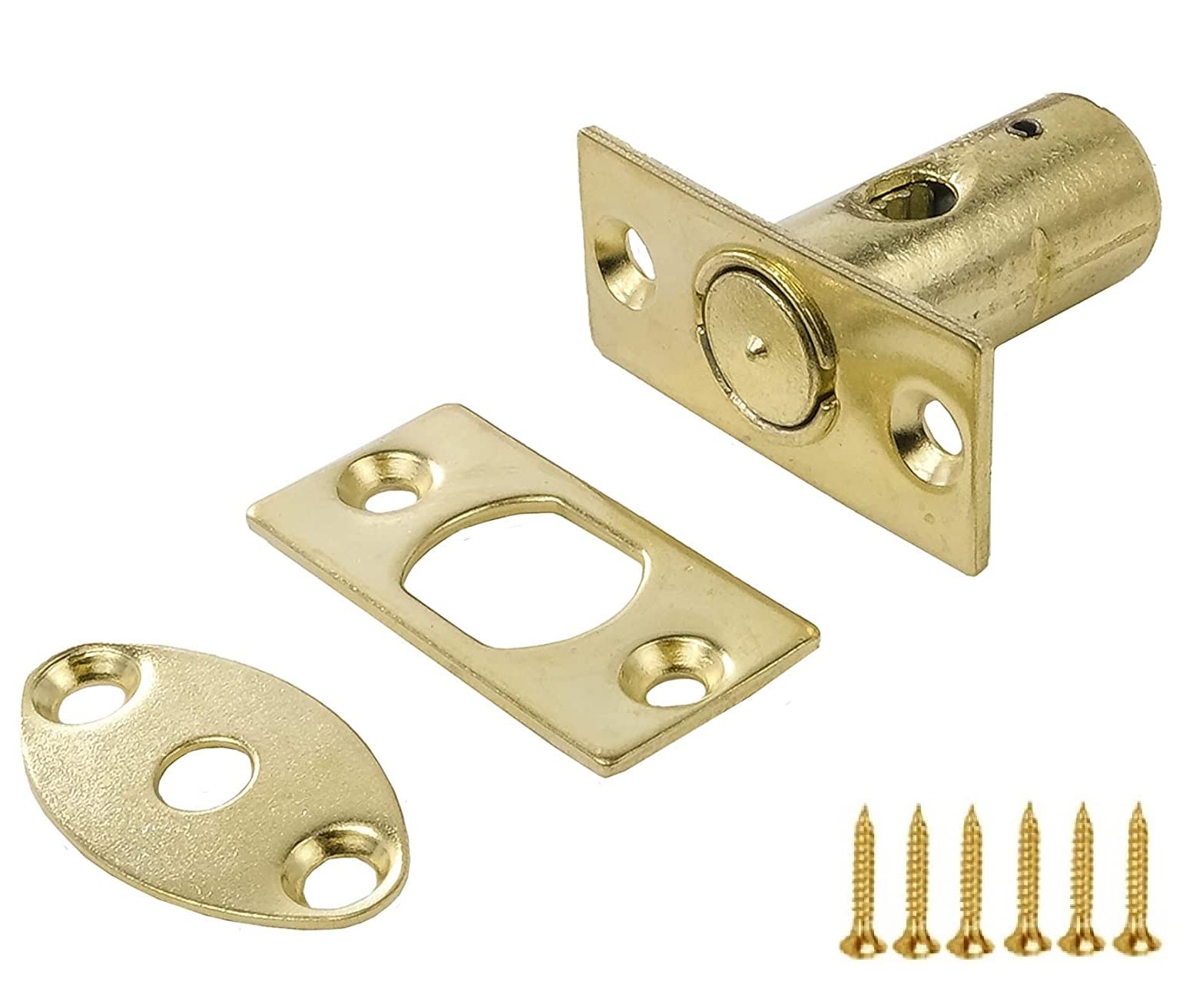 TERF® Heavy Duty Polished Brass 32mm Mortice Door Window Rack Bolt Security Lock Bolt with Fixing Screws - Pack of 1