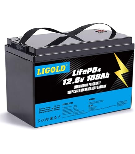 2 Packs 12V 100Ah Mini Max LiFePO4 Battery 100A BMS 1280Wh Lithium