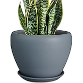 Ceramicfor Ceramic Pot for Plants - 8 Inch Plant Pot Indoor with Drainage Hole and Saucer Decorative Planter for Outdoor Plan