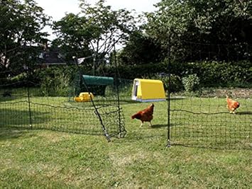 Omlet Filet à Poules 21 Mètres Porte Cordes Et Piquets à Double Pointe Inclus