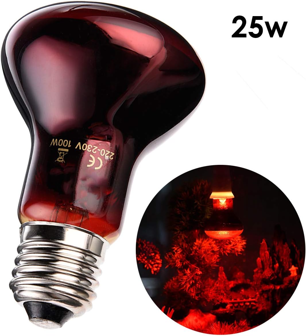 25 watt reptile heat bulb