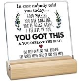 LILISPAI Inspirational Motivational Gifts - Thank You Gifts for Women Men Friends - Appreciation Gifts for Coworker, Funny Office Desk Home Decorative Sign Acrylic Sign for Office Desk