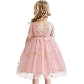 Nileafes Flower Girls Lace Pageant Dress Toddler Girl Tulle Sleeveless Wedding Party Princess Ball Gown