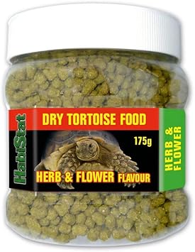 dry tortoise food