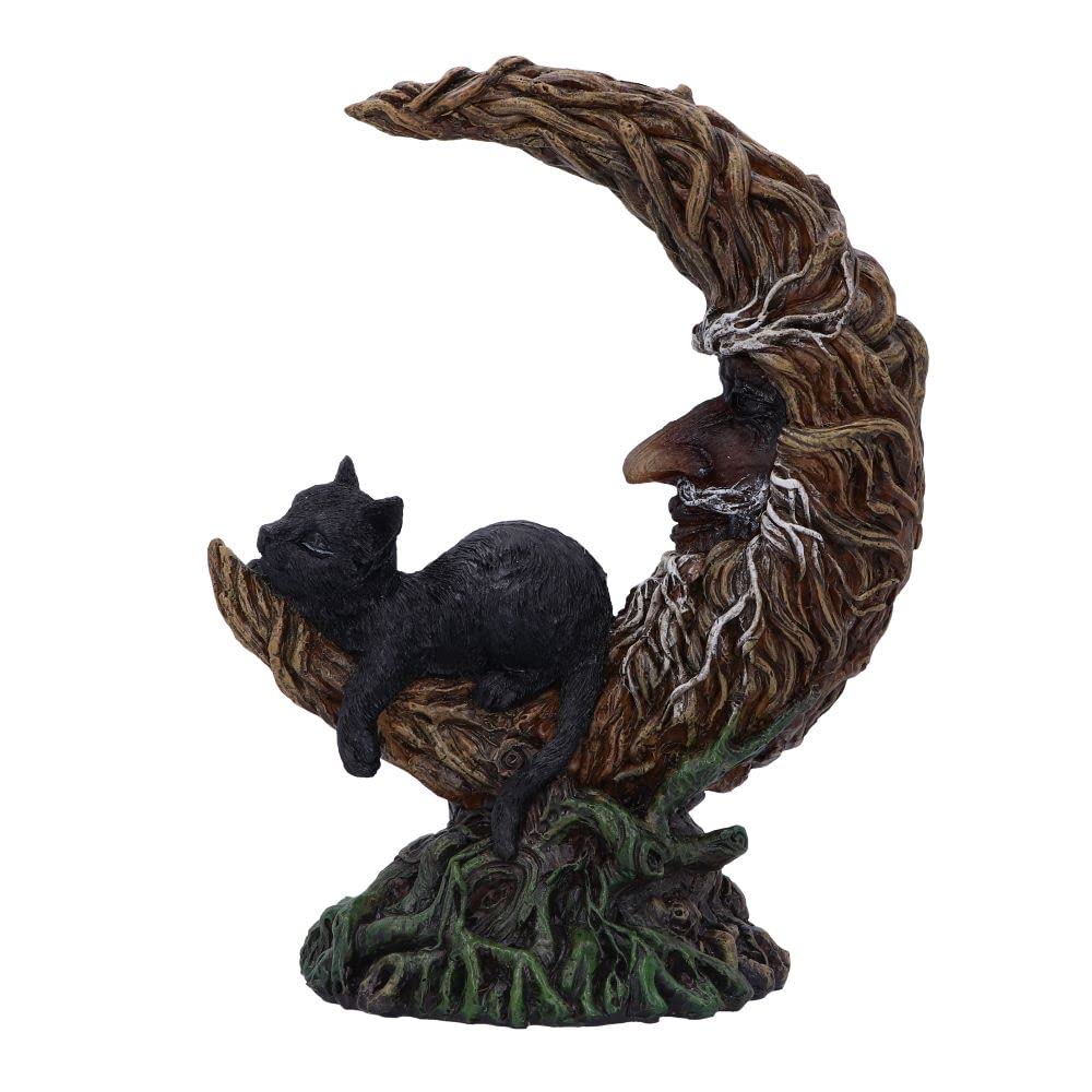 Nemesis Now Familiar Slumber 21.2cm, Resin, Brown, Crescent Moon Design, Witch's Familiar Figurine, Lunar Cycle Giftware, Cast in the Finest Resin, Expertly Hand-Painted