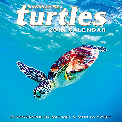 Hawaii 2018 deluxe wall calendar - hawaiian sea turtles by michae…
