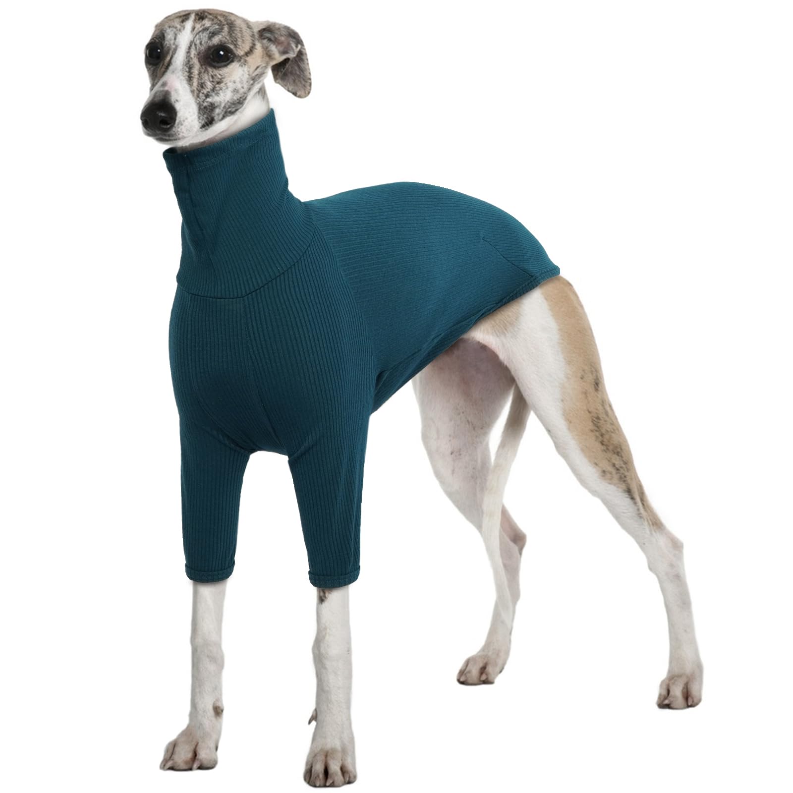 Greyhound Winter Coat, Salukis Jumper Greyhound Winter Clothes Dog T-Shirt Spring Autumn Dog Jumpsuit Pajamas(Blue, 3XL)