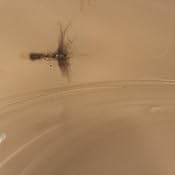 Amazon.com: Chef Buddy Microondas Crisper Pan 9.5