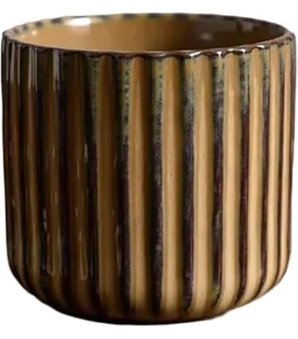Amazon.com: 西海陶器(Saikaitoki) Saikai Pottery Hasamiyaki 11469