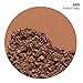 COVERGIRL Queen Lasting Matte Pressed Powder Foundation Medium Deep, .37 Ounce (packaging may vary)