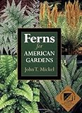 Ferns for American Gardens by John T. Mickel