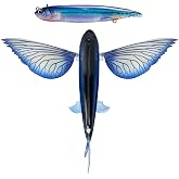 Nomad Design Slipstream 280 Flying Fish California 11" Floating Lure - Electric