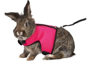 MANON ROSA Rabbit Harness and Leash Set - Adjustable Escape-Proof Training and Walking Gear for Guinea Pigs Bunnies Chinchillas Hamsters Ferrets Rats Kittens and Small Dogs Puppies Cats (Rose Red,M)
