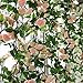 YILIYAJIA 3PCS Artificial Rose Garlands Silk Fake Rose Flowers Green Leaves Vine for Home Hotel Office Wedding Party Garden Craft Art Decor (Pink Color)