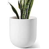 LE TAUCI 10 Inch Plant Pot, Ceramic Pots for Plants with Drainage Hole and Rubber Plug, Plant Pots Indoor for Olive Tree, Cylinder Planter Pot for Home Patio Office, White