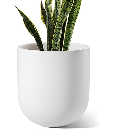 Pot De Fleurs En Céramique Créatif Tête De Plante Figurines Statue Rose