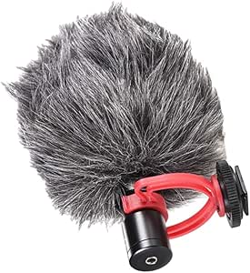 Amazon.com: TISHITA -M2 Stereo Vedio Mono Camera-Mount Microphone W