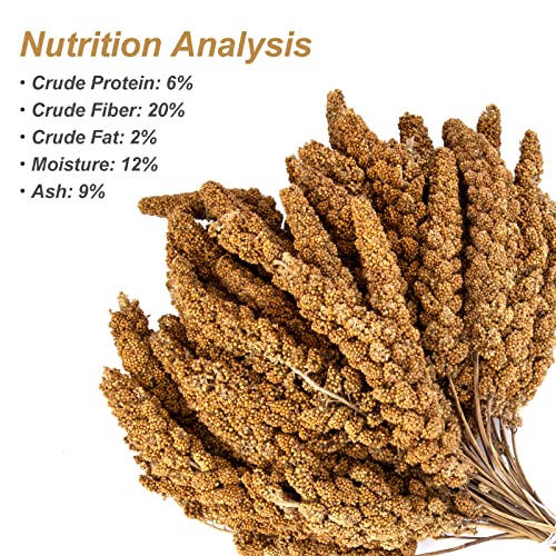 5.5 LB Spray Millet for Parakeets, 100 Natural Dried Millet Grain for