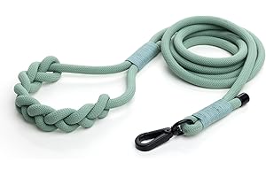 2025 New Edition, Fei & Eve Hand-Braided Dog Leash, 6FT, SP Cotton Material, Glacier Green