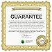 Abundant Health 25% Vitamin C Serum with Vitamin E and Hyaluronic Acid for Youthful Looking Skin, 1 fl. oz.