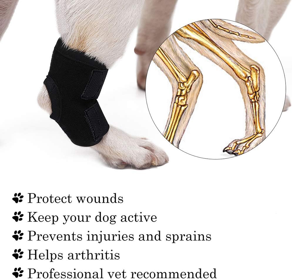 SAILOUT Dog Rear Leg Support Brace, Dog Leg Joint Wrap Sleeve Protector for Heals Wounds Injuries Sprains and Arthritis (M)