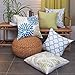 Phantoscope Set of 2 New Living Series Decorative Dahlia Blue and Green Throw Pillow Case Cushion Cover 18