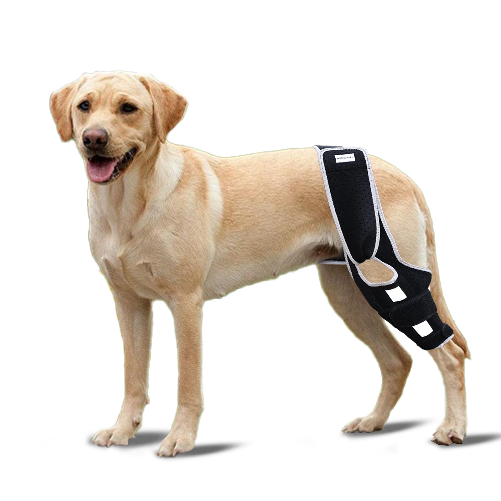 Photo 1 of WENQUSEN Dog Leg Support - for Leg Wounds After Surgery for Ligament Tears, with Support Strips to Protect The Dog's Leg Wounds. Breathable and Comfortable?M?