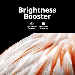 LG C3 Series 55-Inch Class OLED evo 4K Processor