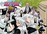Great Eastern Entertainment Bleach 13 Group Captains Wall Scroll, 33 by 44-Inch