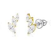 Limerencia Implant Grade Pure Titanium Studs, F136 Hypoallergenic G23 Small Dainty Cubic Zirconia Earrings for Women's Sensitive Ears