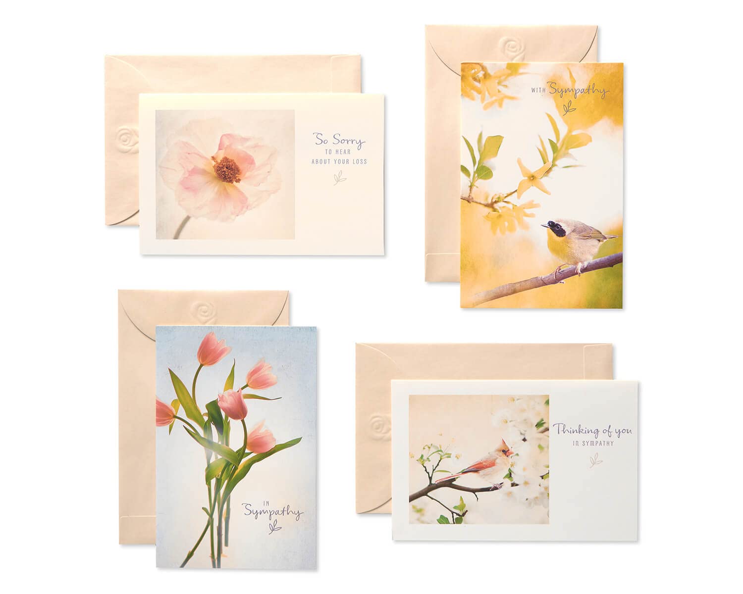 UK Greetings | Multipack of 12 Sympathy Cards | Condolences/Bereavement | 4 Floral Designs | with Keepsake Box & Envelopes | 17 x 11.5cm