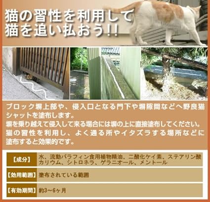 Amazon Co Jp 野良猫シャット ホーム キッチン