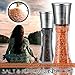 Salt & Pepper Grinder Set with 220 gr Salt Set By DIAMKITCHEN Stainless Steel Himalayan Spice Mill Pair + BONUS: Replacement Glass + 110gr Black Pepper 2 Handheld Grinder Set With Ceramic Blades