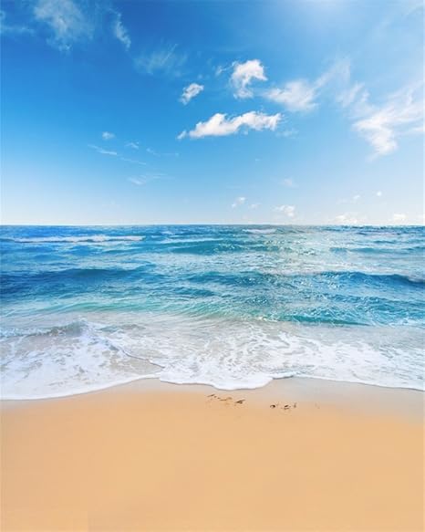 Aaloolaa 25 X 3 M Bord De Mer Plage Vacances De