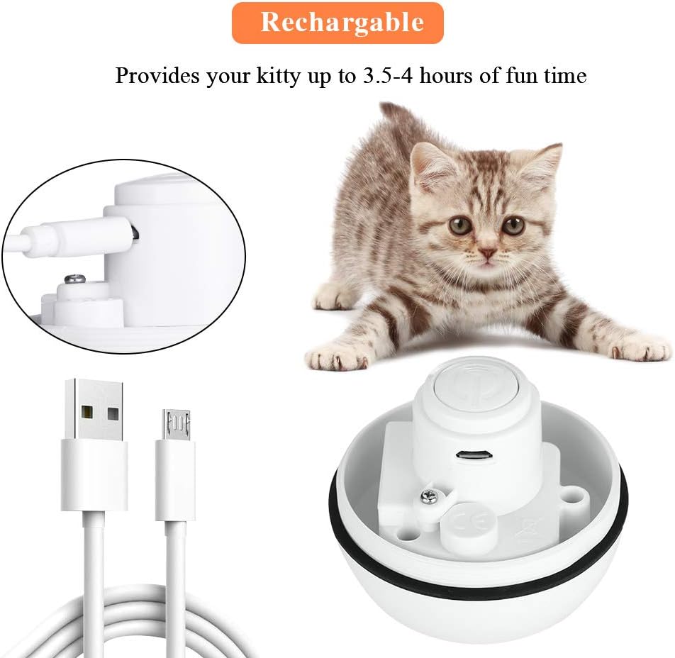 Pakoo Interactive Cat Toys Ball, Smart Automatic Rolling Kitten Toys, USB Rechargeable Motion Ball + Spinning Led Light with Timer Function, The Best Entertainment Exercise Gift for Your Kitty : Kitchen & Dining