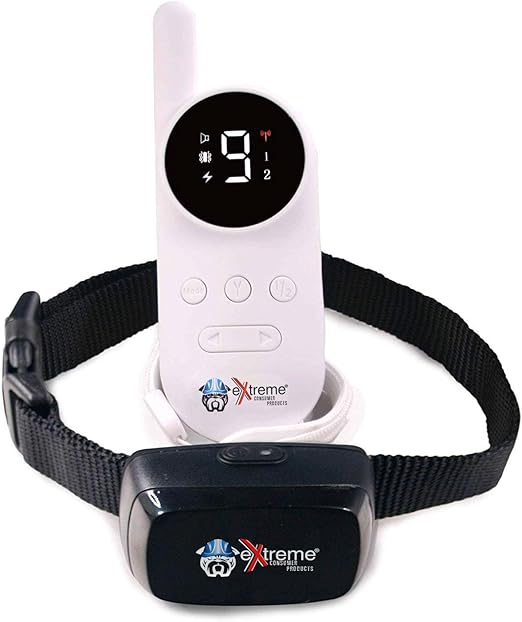 electronic collar for dogs