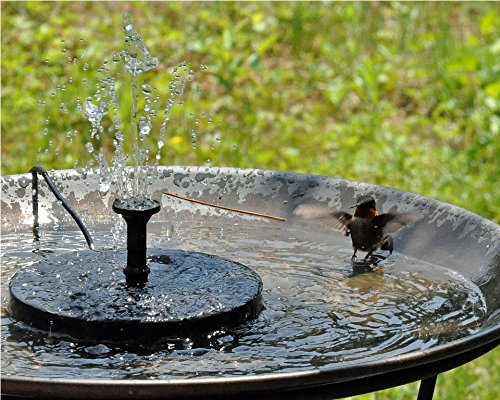 HomeSprout Solar Fountain Pump for Bird Baths, Ponds and Free-Standing Fountains. 1.4 W Solar Panel Water Pump Kit (Bird Bath, Stand or Other Accessories Not Included)