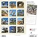 Goats in Trees 2020 Calendar