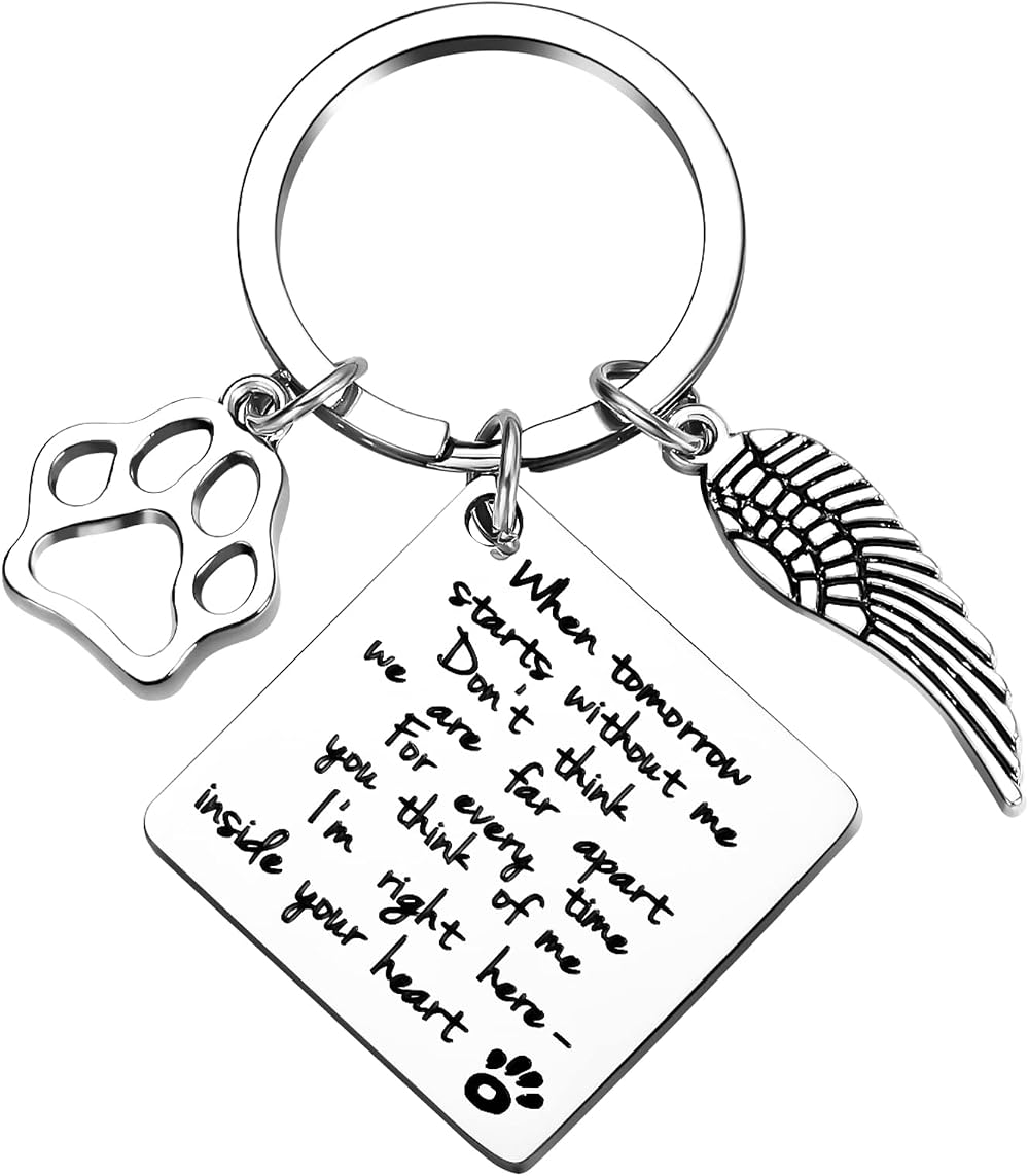 Cerolopy Pet Memorial Keychain Angel with Paws Stainless Steel