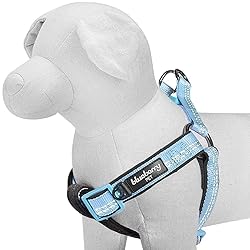 Blueberry Pet Soft & Comfy 3M Reflective Step-in
