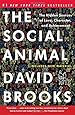 The Social Animal: The Hidden Sources of Love, Character, and Achievement
