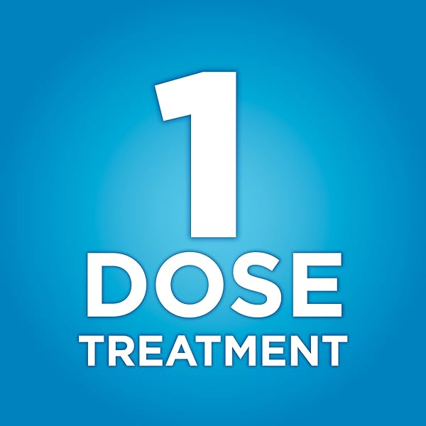 AMAZON BASIC CARE TIOCONAZOLE OINTMENT 6.5 PERCENT, 1-DOSE TREATMENT, VAGINAL YEAST INFECTION TREATMENT FOR WOMEN, FEMININE CARE, 0.16 OUNCE (PACK OF 1)