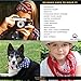 Elephant Brand Bandanas 100% Cotton Since 1898-12 Pack (Red)