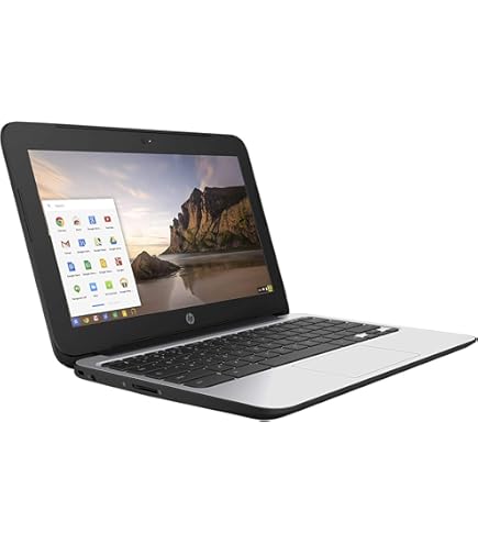 Amazon.com: Asus Chromebook C204 11.6