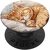 Orange Tabby Cat Sleeping PopSockets Adhesive PopGrip