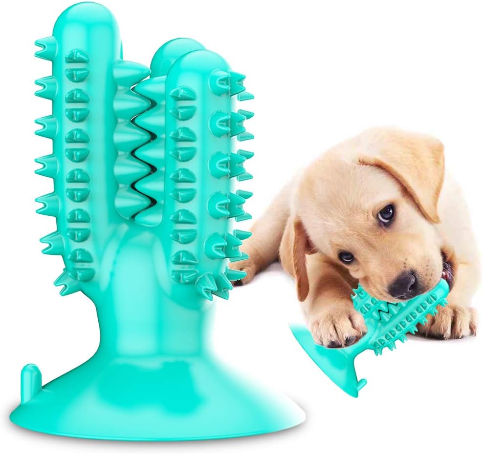 chew toys to clean dogs teeth