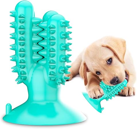 dog toys dental health