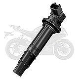Motorcylce Ignition Coil Compatible with Yamaha