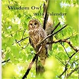 Wisdom Owl 2018 Calendar: Owl 2018 Monthly Calendar by Lovely Animal Calendar