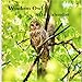 Wisdom Owl 2018 Calendar: Owl 2018 Monthly Calendar by Lovely Animal Calendar